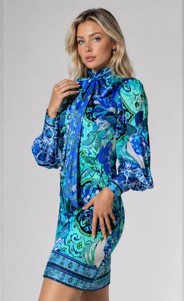 Whimsy Blue Rose Dress